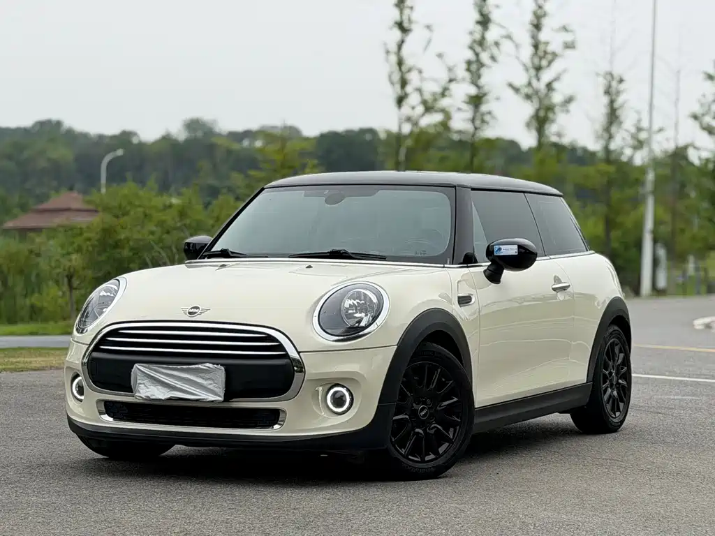 MINI MINI 2020