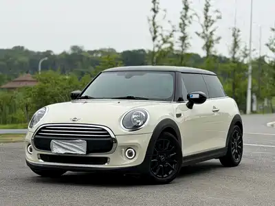 MINI MINI 2020