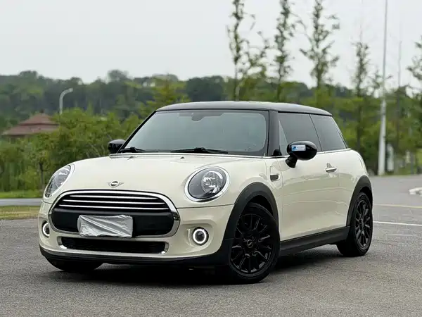 MINI MINI 2020