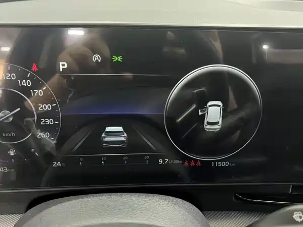 Kia Lion Platinum Expands The Boundary 2023