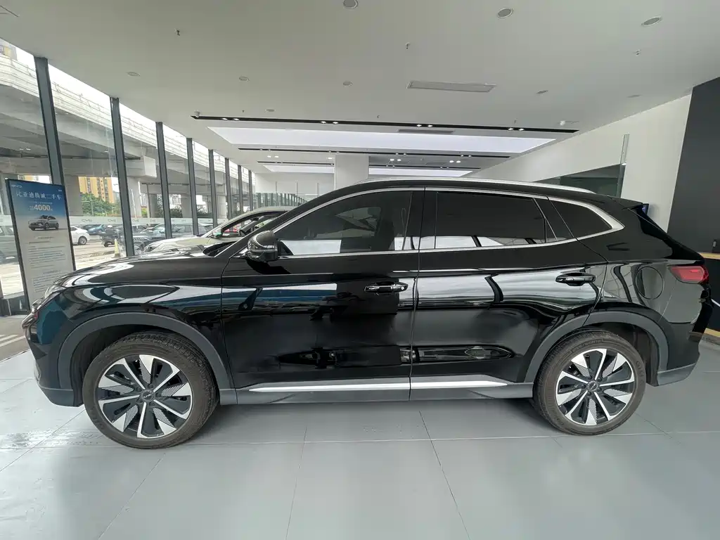 BYD PLUS New Energy 2025 — фото 3