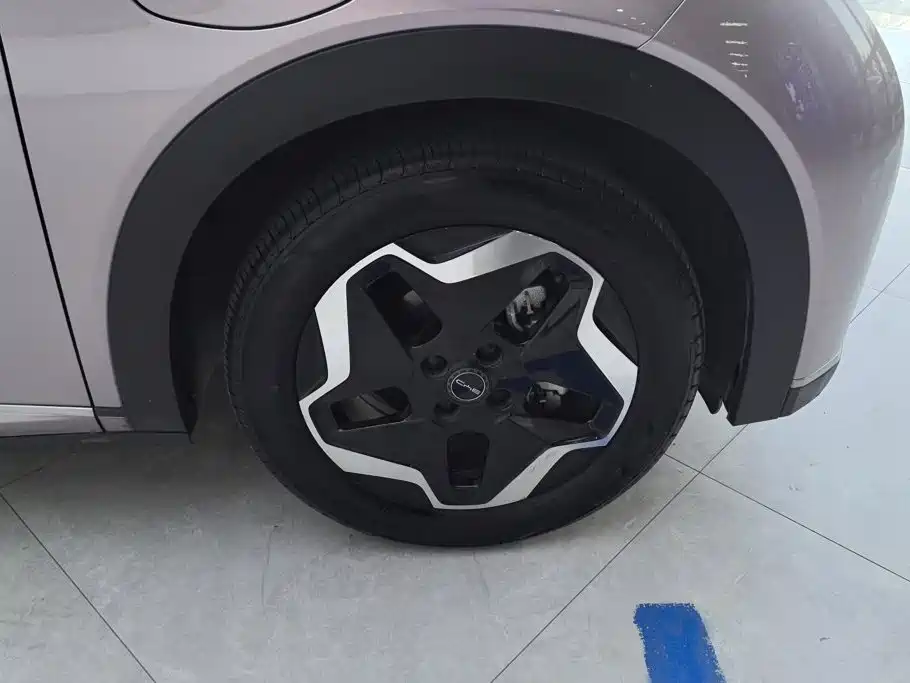 BYD Dolphin 2022