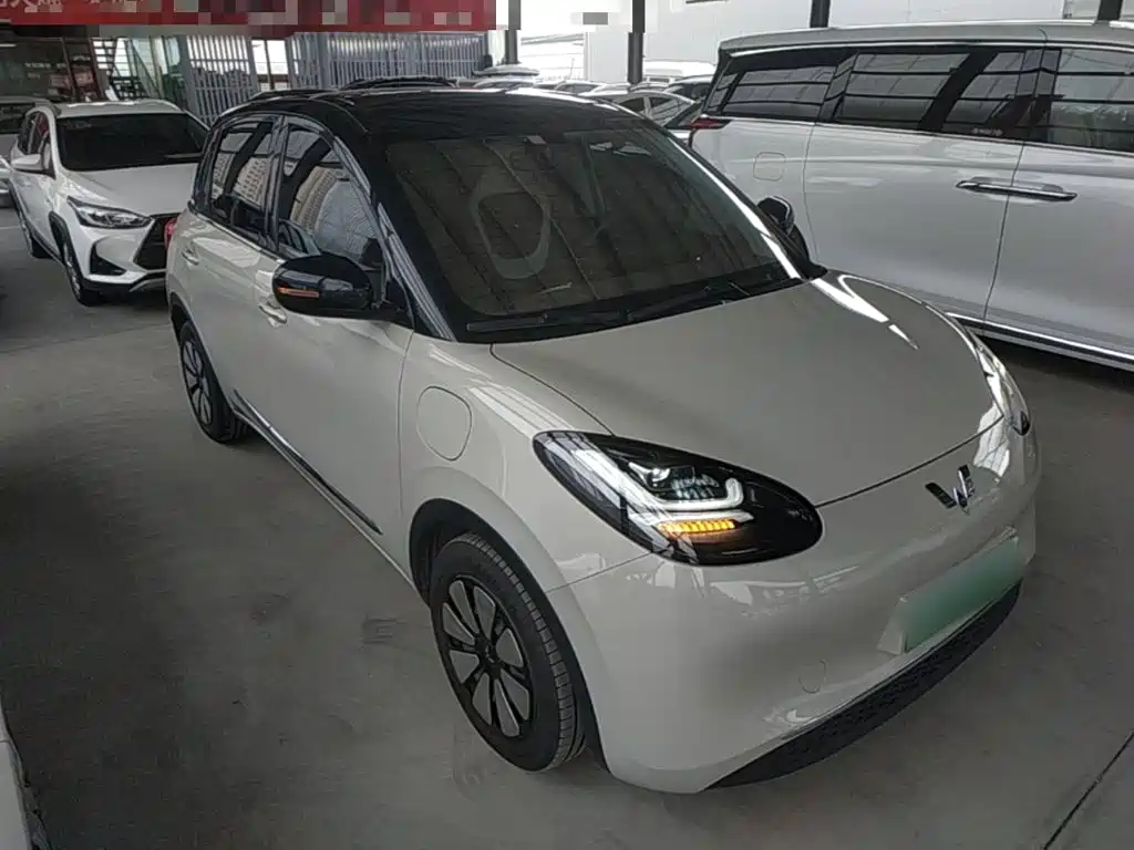 Wuling Bingo 2024