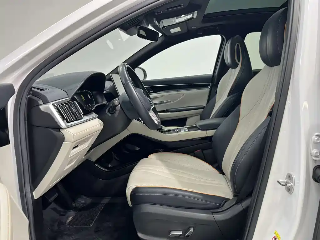 BYD Song PLUS New Energy 2021 — фото 3