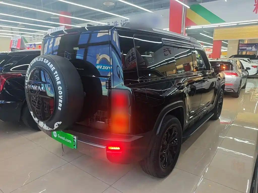 Haval Menglong New Energy 2025