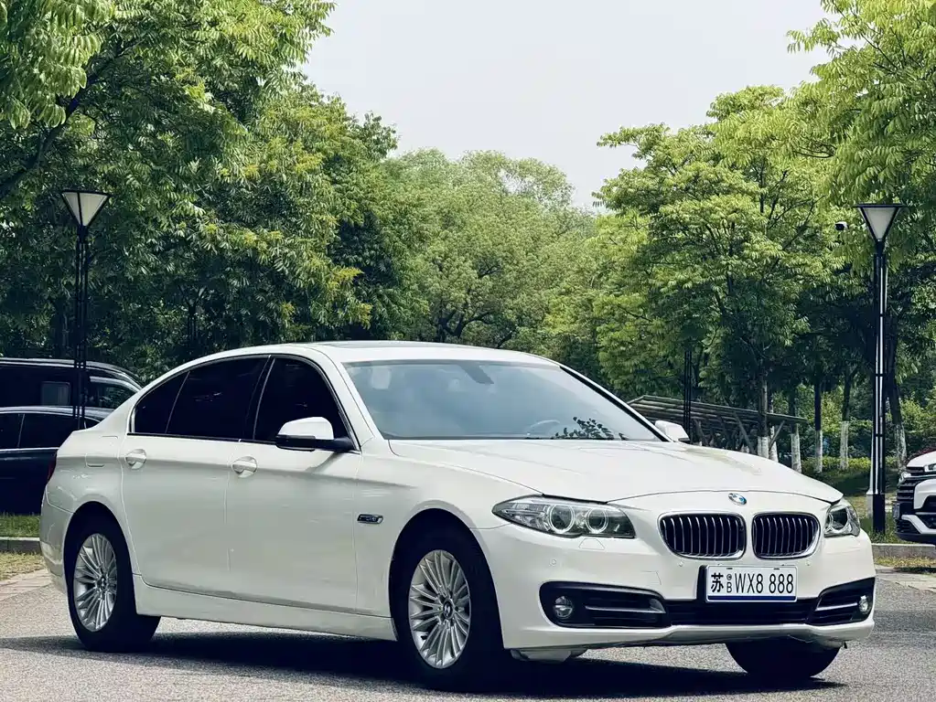 BMW 5 Series 2014 — фото 3