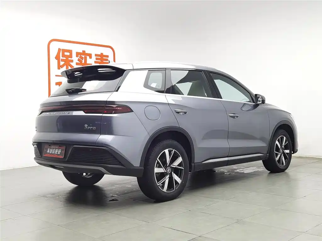 BYD Pro New Energy 2024