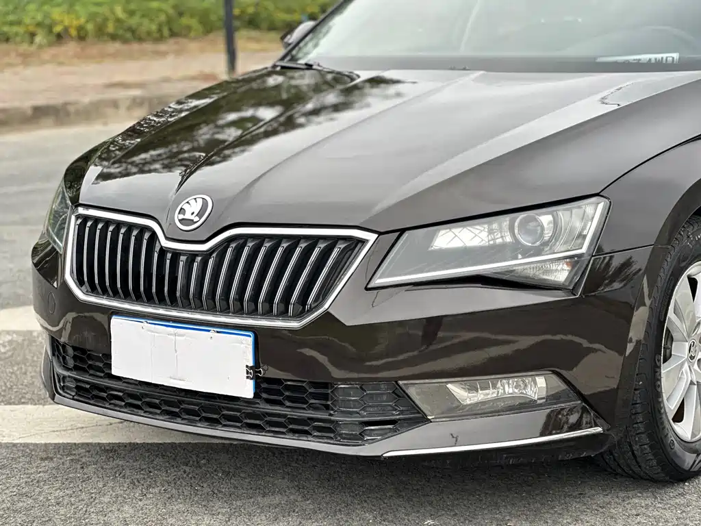 Skoda Speedy 2019 — фото 10