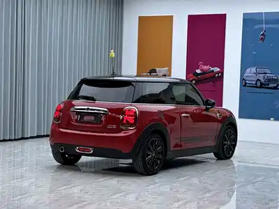 MINI MINI 2019