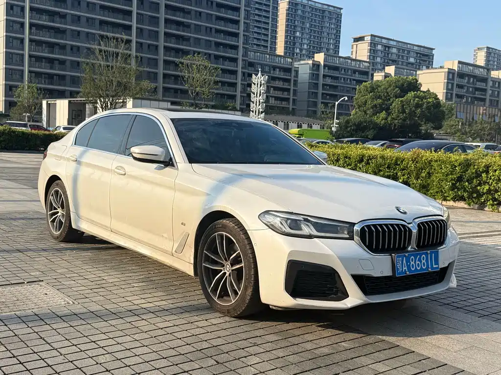 BMW 5 Series 2021
