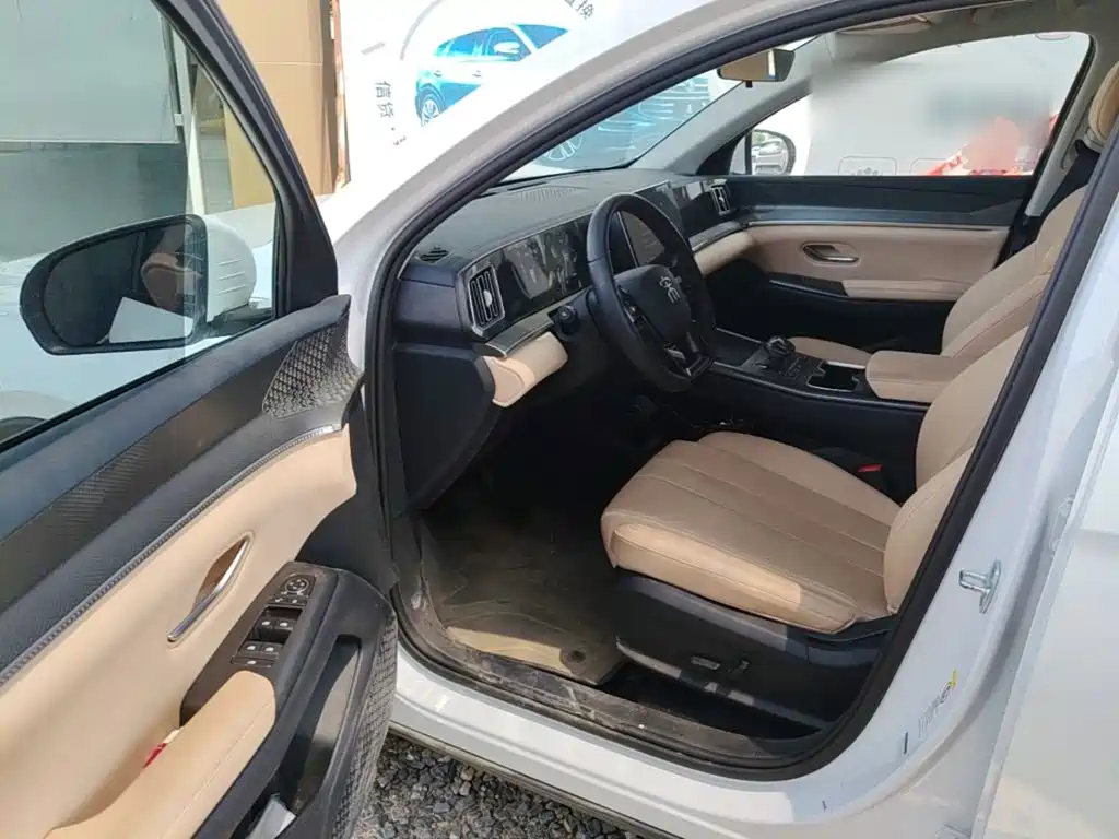BYD Song Pro New Energy 2025 — фото 16
