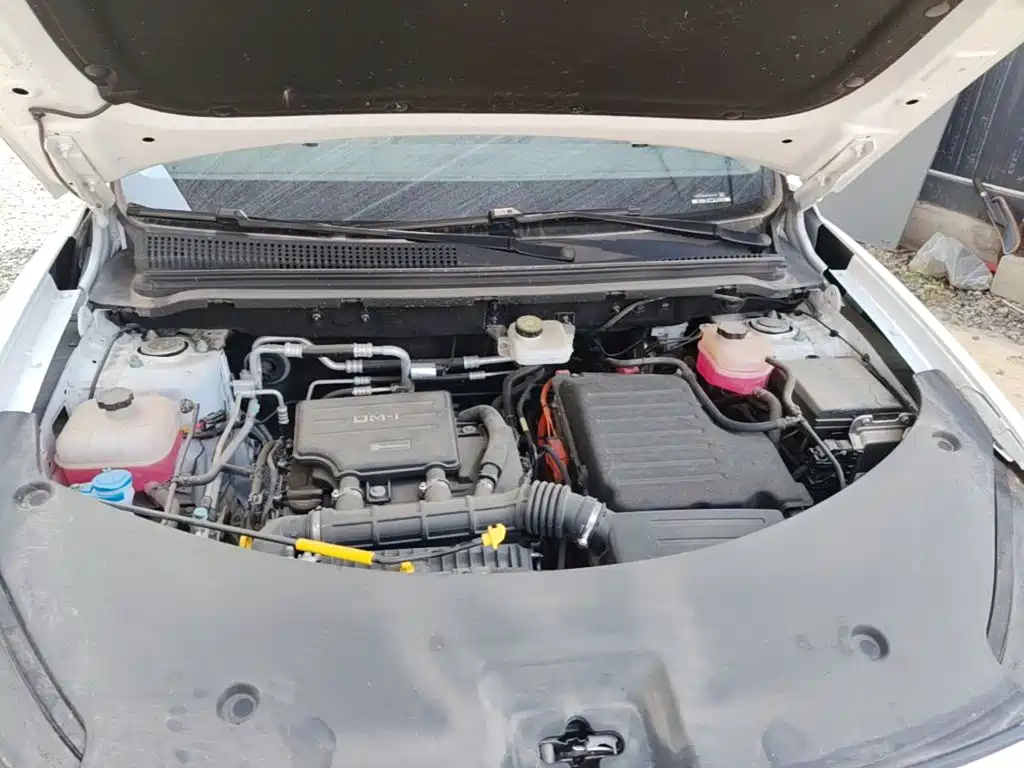 BYD Song Pro New Energy 2025 — фото 20