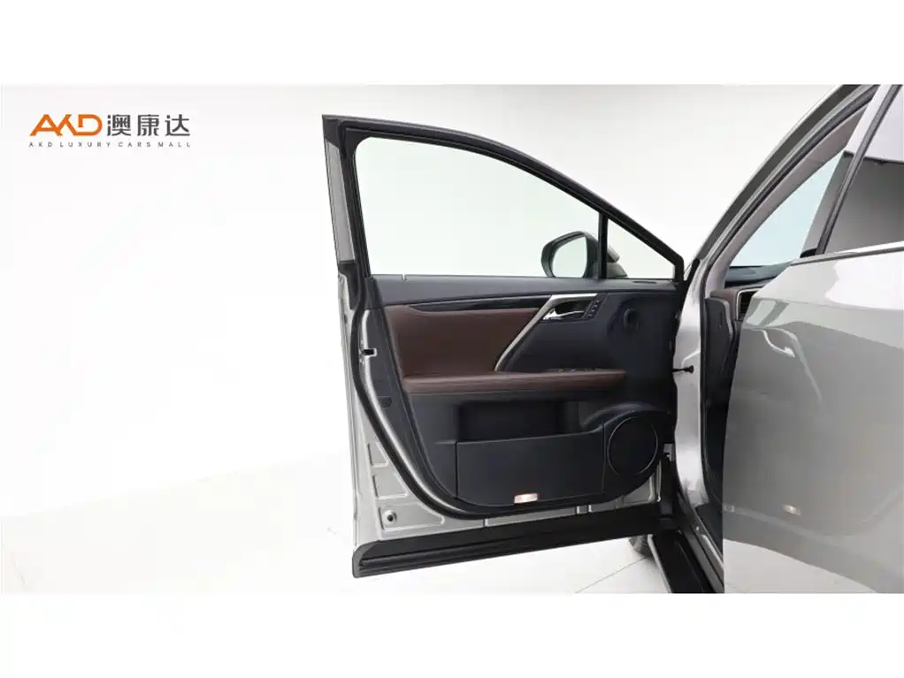 Lexus RX 2021 — фото 10