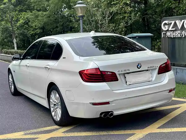 BMW 5 Series New Energy 2016