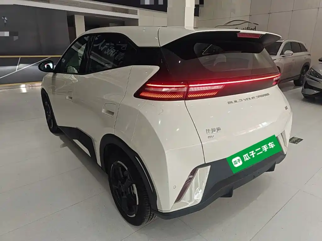 BYD Seagull 2024
