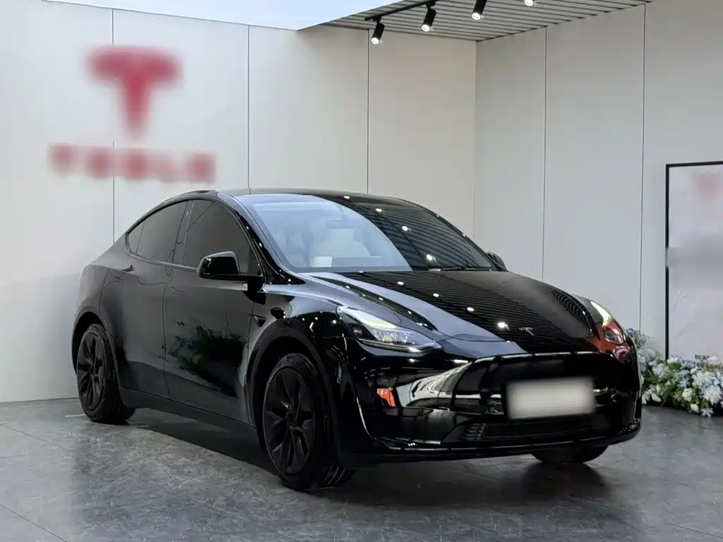Tesla Model Y 2022 — фото 4