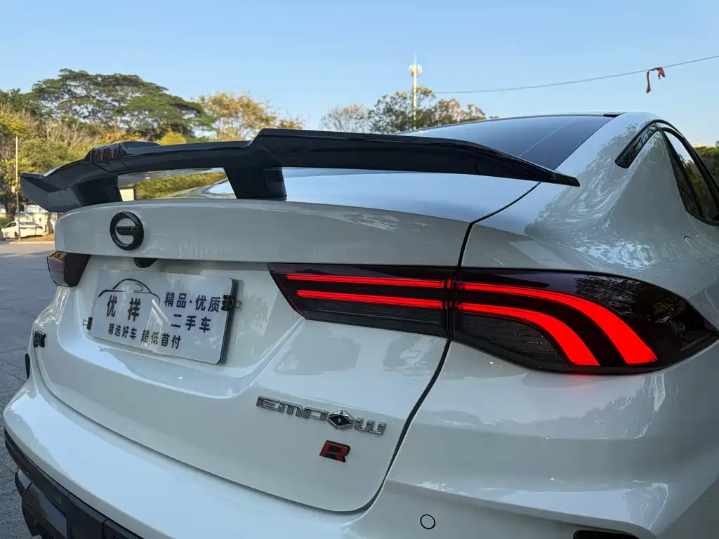 GAC Motor Shadow Leopard 2024 — фото 21