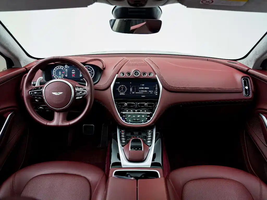 Aston Martin DBX 2020 — фото 12