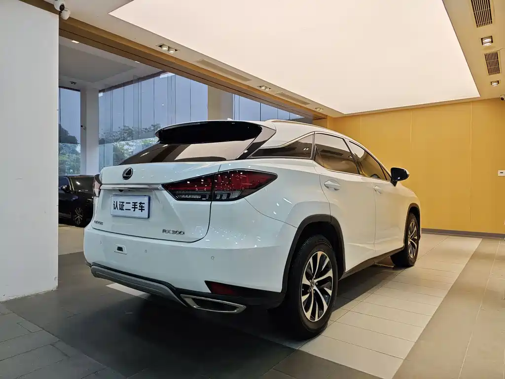 Lexus RX 2022 — фото 33