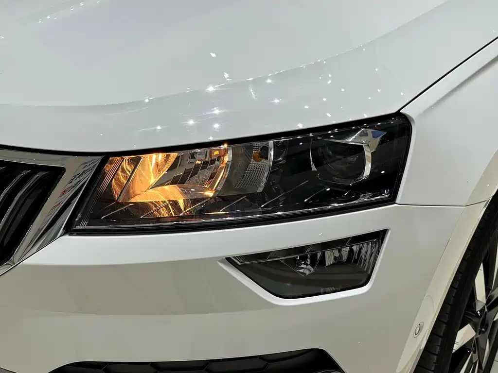 Skoda Karoq 2020 — фото 9