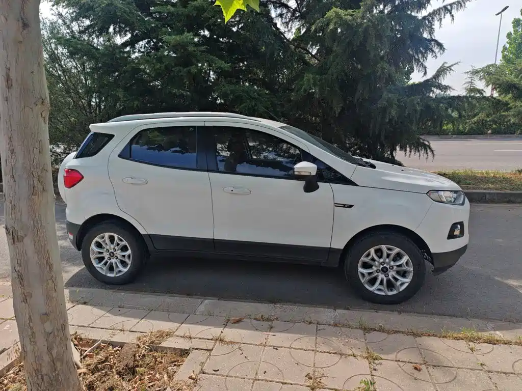 Ford Ecosport 2014 — фото 10