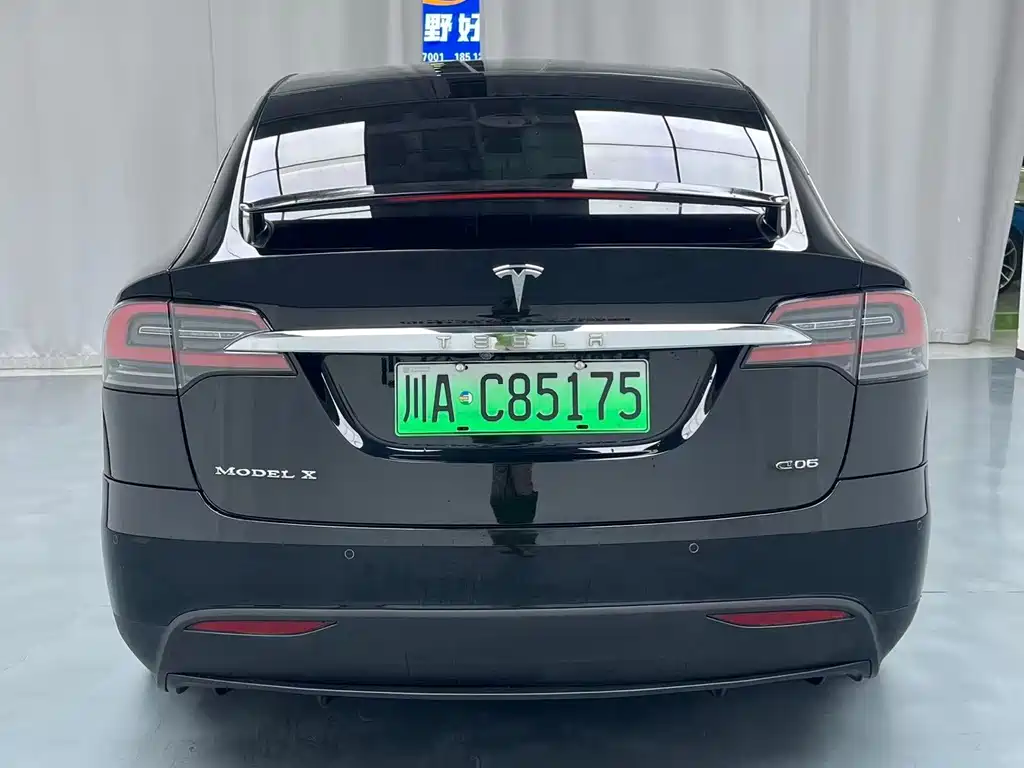 Tesla Model X 2017 — фото 8