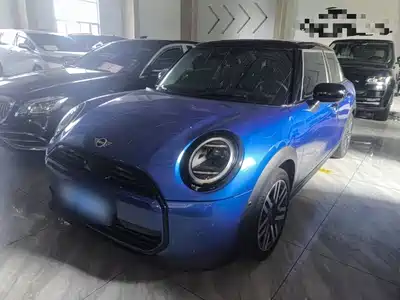MINI MINI 2025