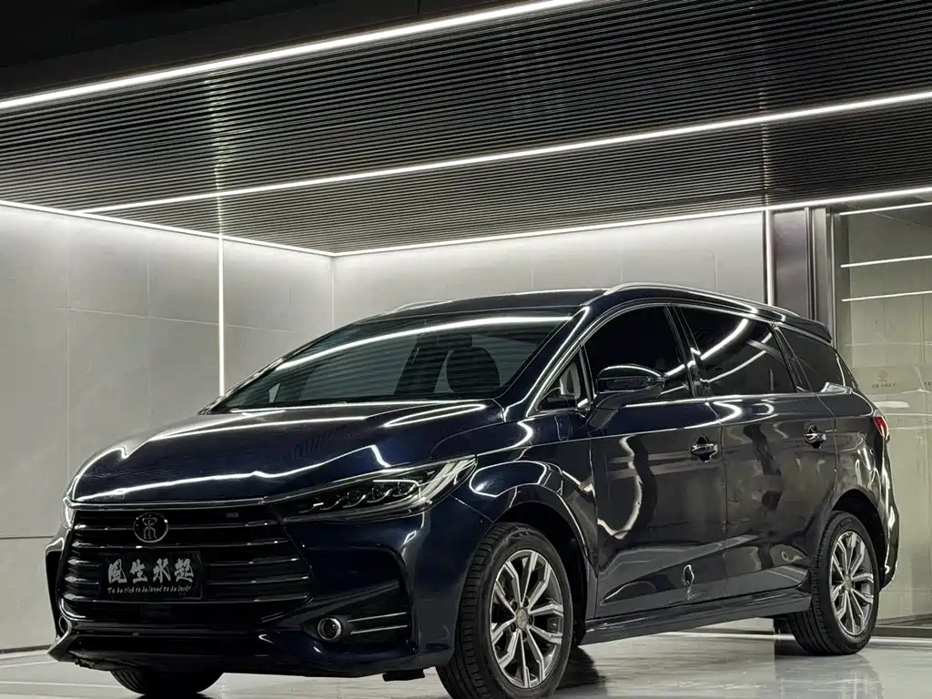 BYD MAX 2020