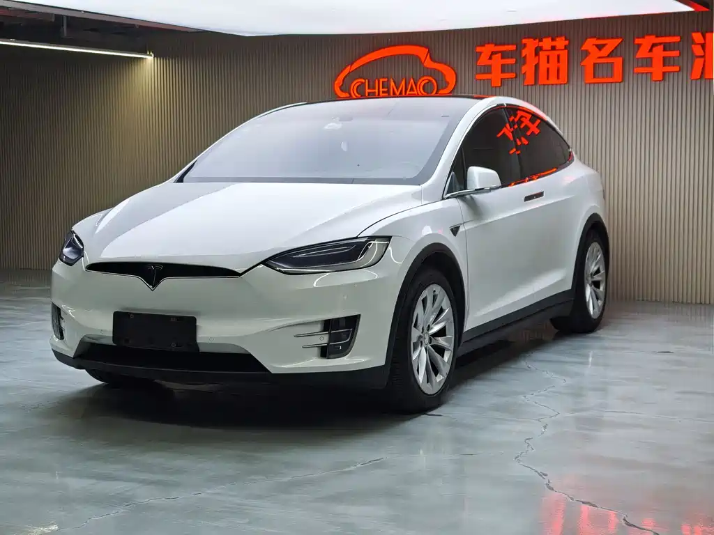 Tesla Model X 2017 — фото 4