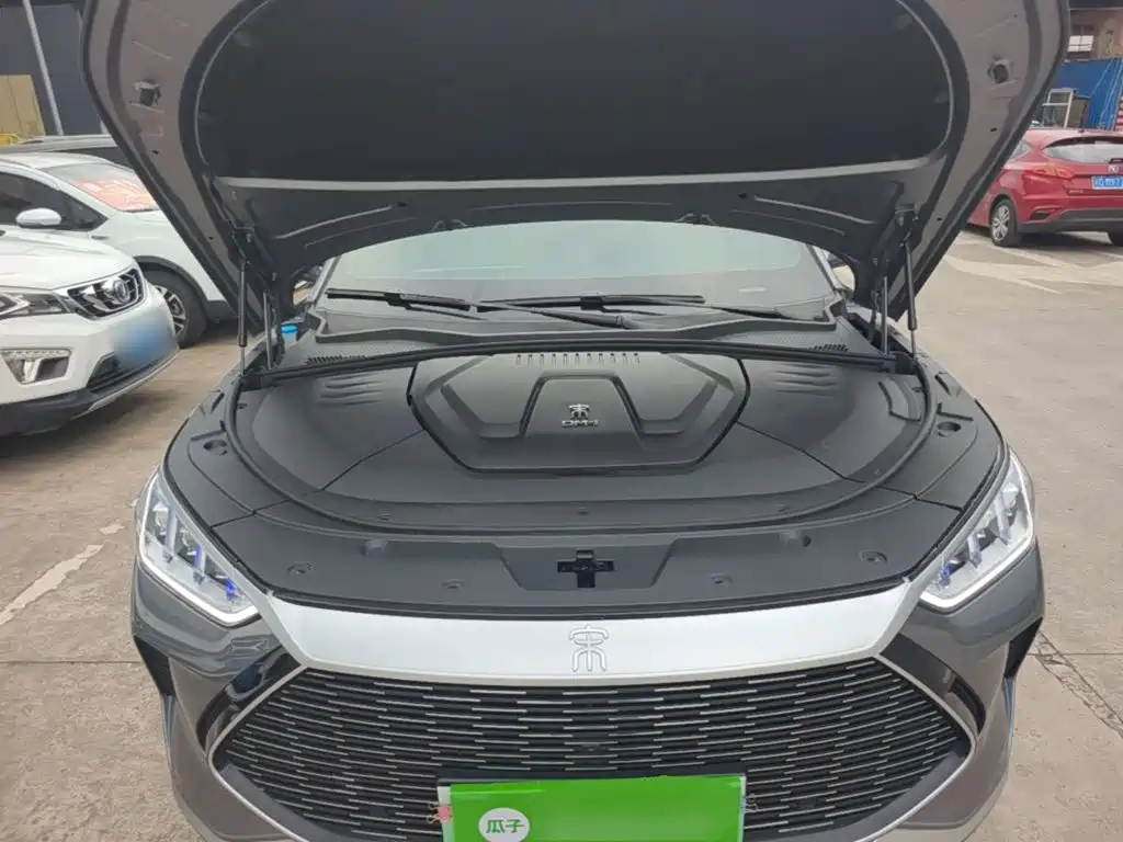 BYD PLUS New Energy 2022 — фото 20