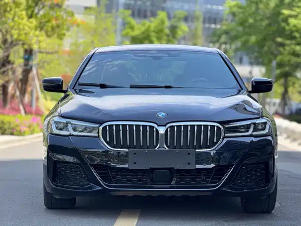 BMW 5 Series New Energy 2021