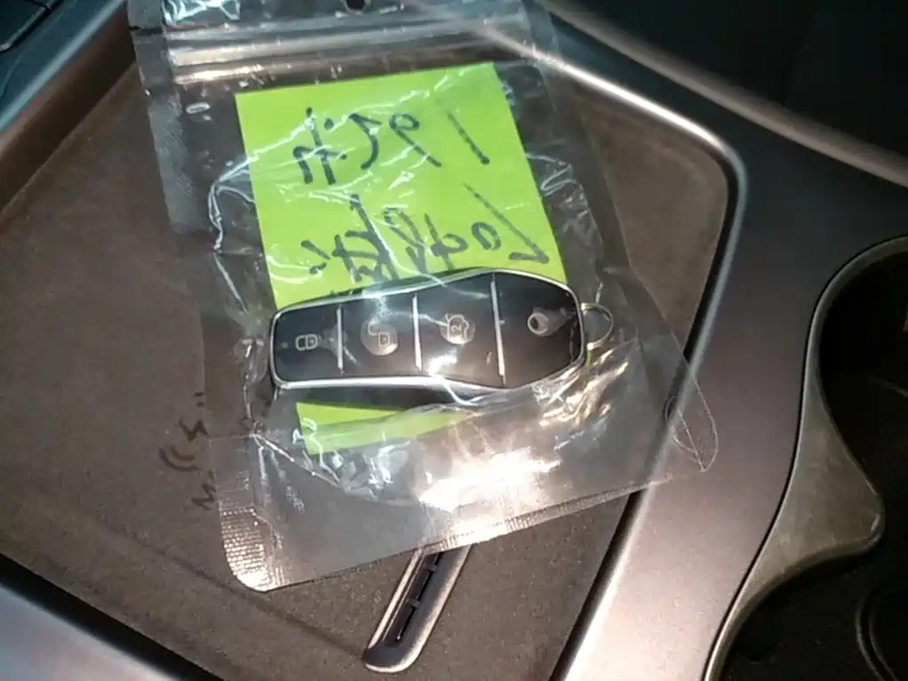 BYD Sealion 07 DM-i 2025 — фото 9