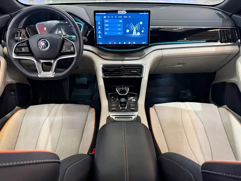 BYD Song PLUS New Energy 2023 — фото 21