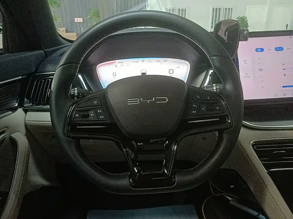 BYD PLUS New Energy 2024 — фото 11
