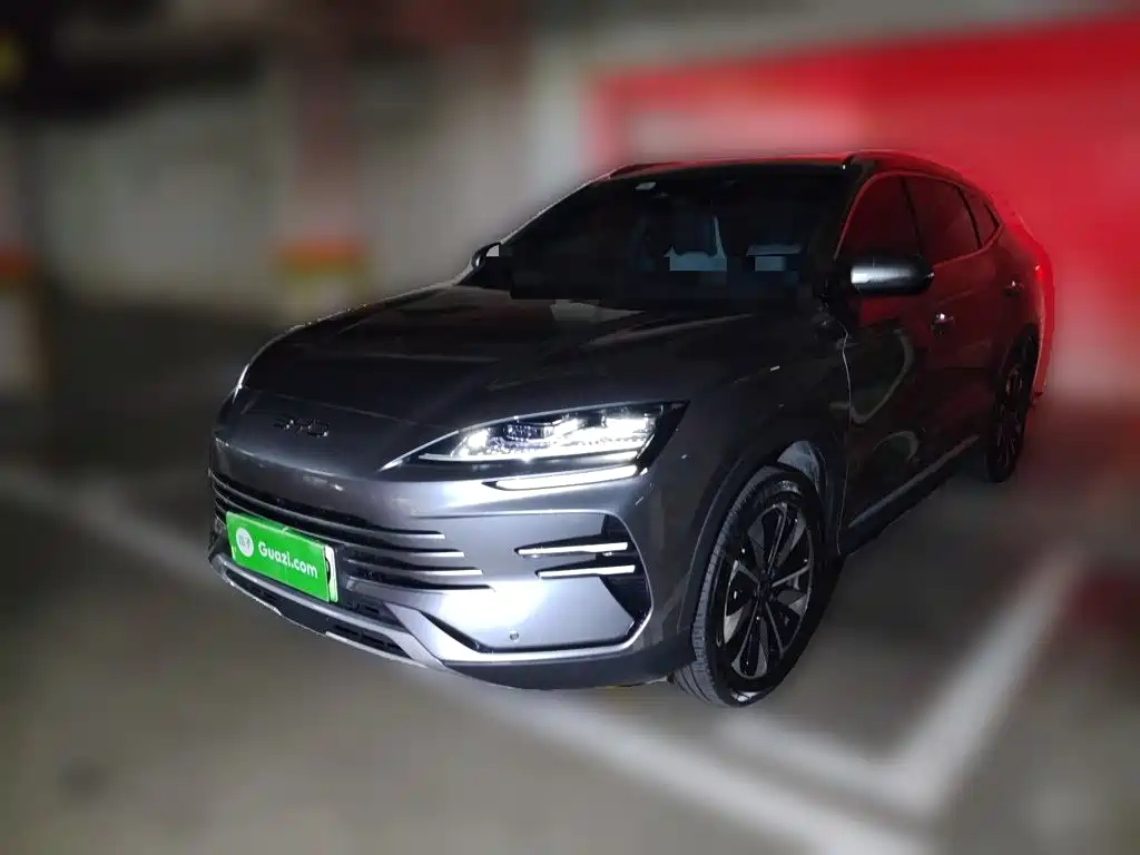 BYD Song PLUS New Energy 2024 — фото 1