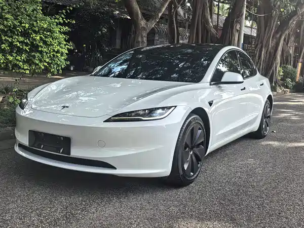 Tesla Model 3 2024