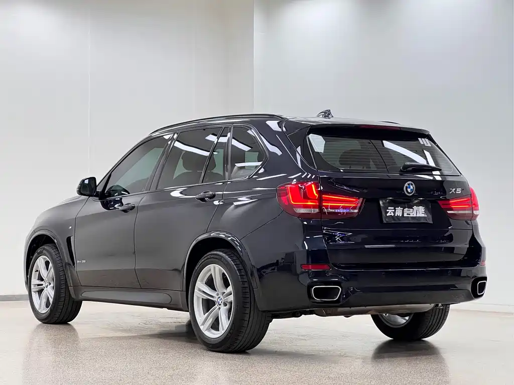 BMW X5 2017 — фото 5