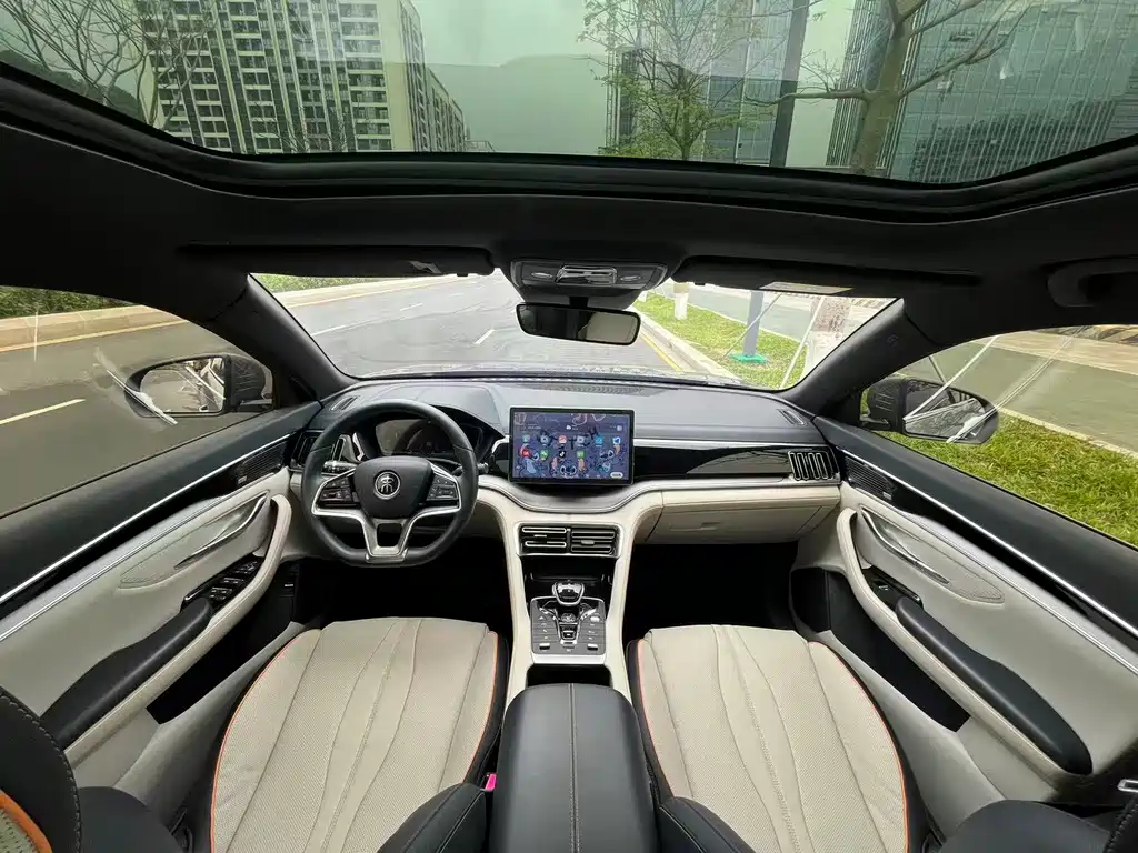 BYD PLUS New Energy 2022 — фото 9