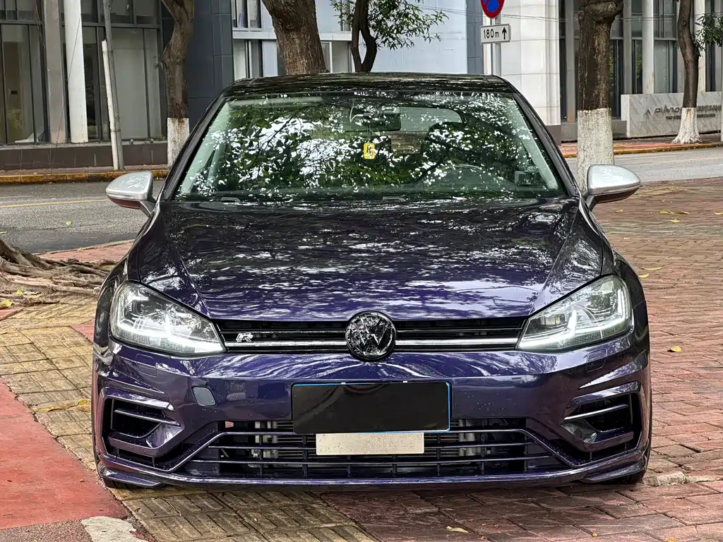 Volkswagen Golf 2019 — фото 2