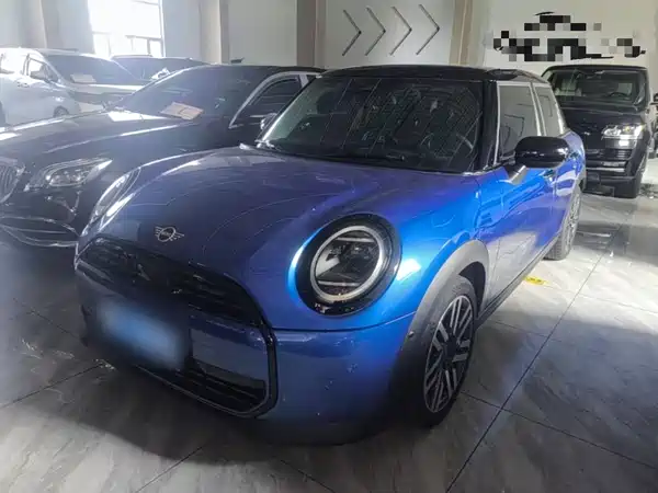 MINI MINI 2025