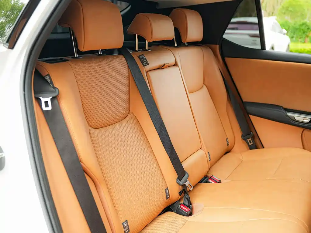 Lexus RZ 2023 — фото 14