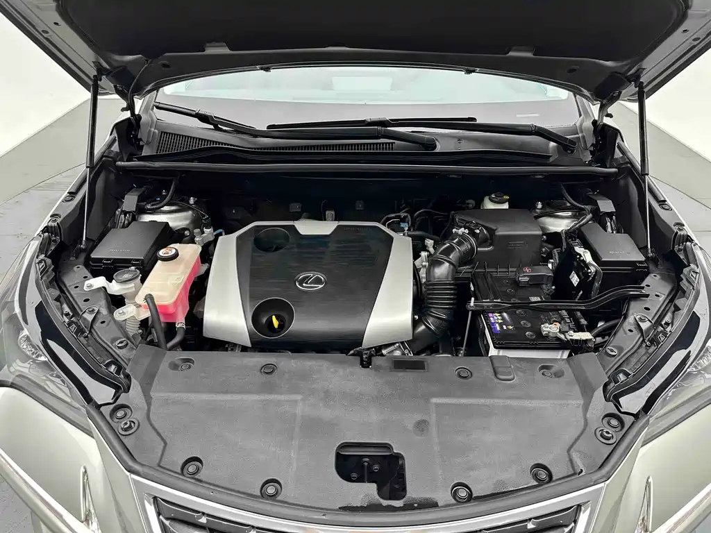 Lexus NX 2020 — фото 19
