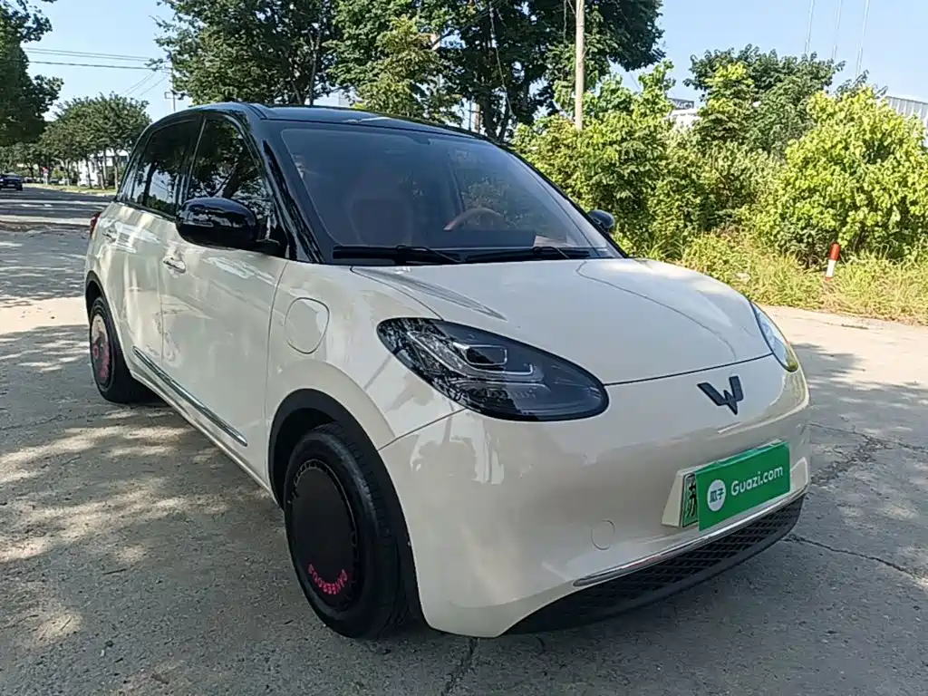 Wuling Bingo 2025