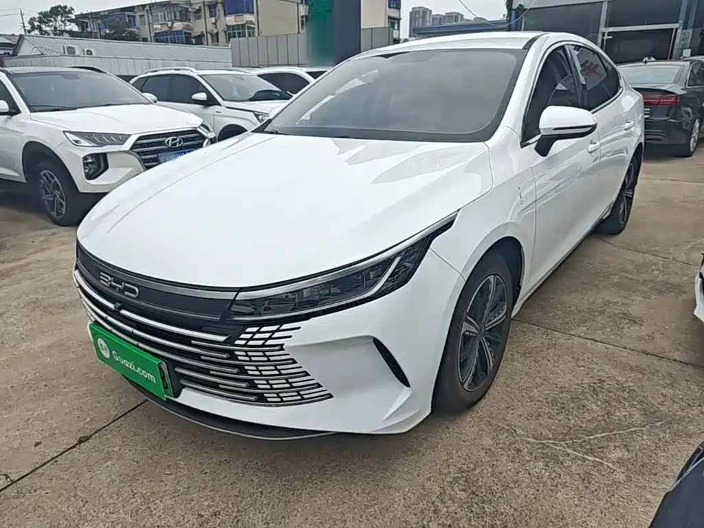 BYD Destroyer 05 2024 — фото 1