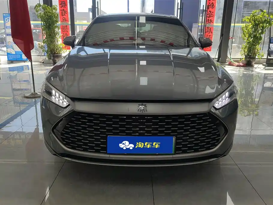 BYD Qin PLUS 2023 — фото 2