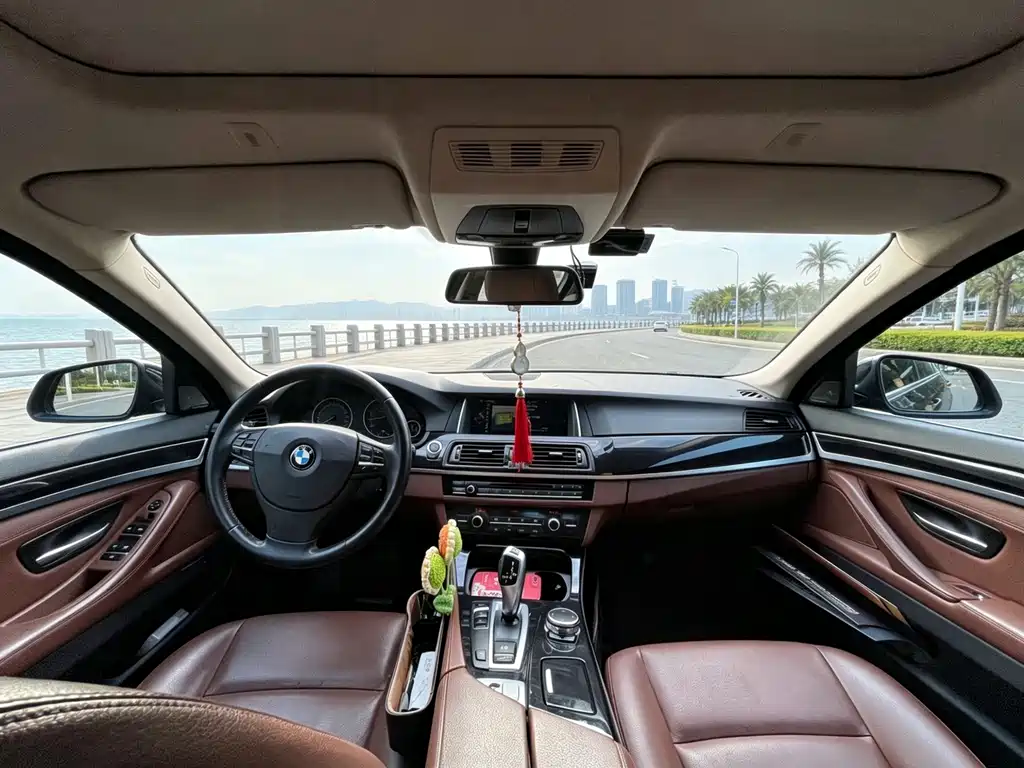 BMW 5 Series 2015 — фото 13