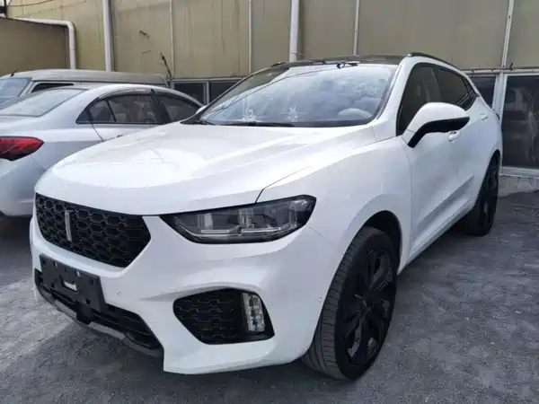 Wey VV5 2017