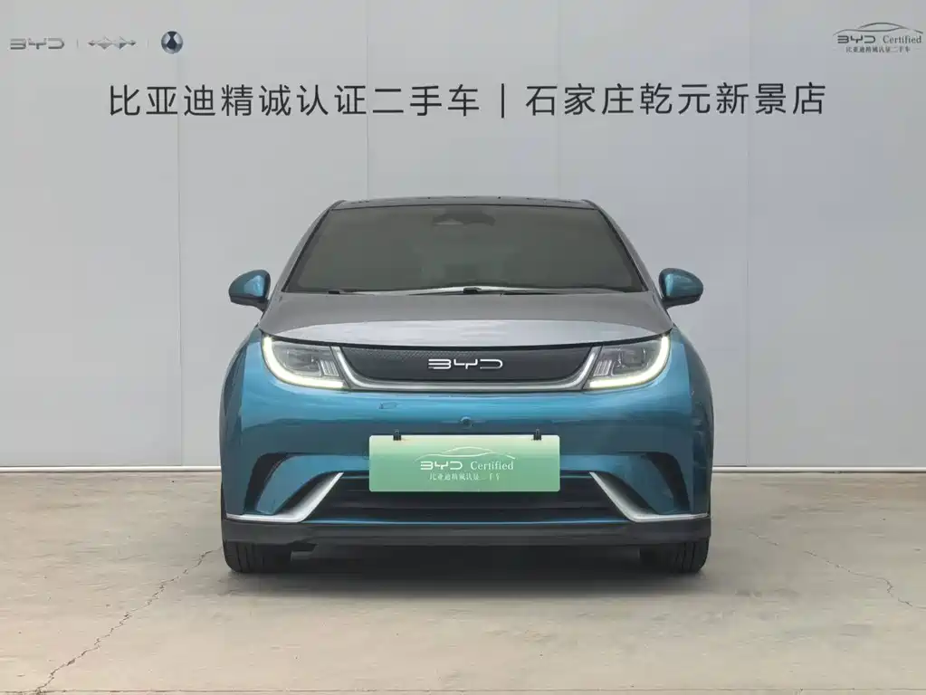 BYD Dolphin 2022