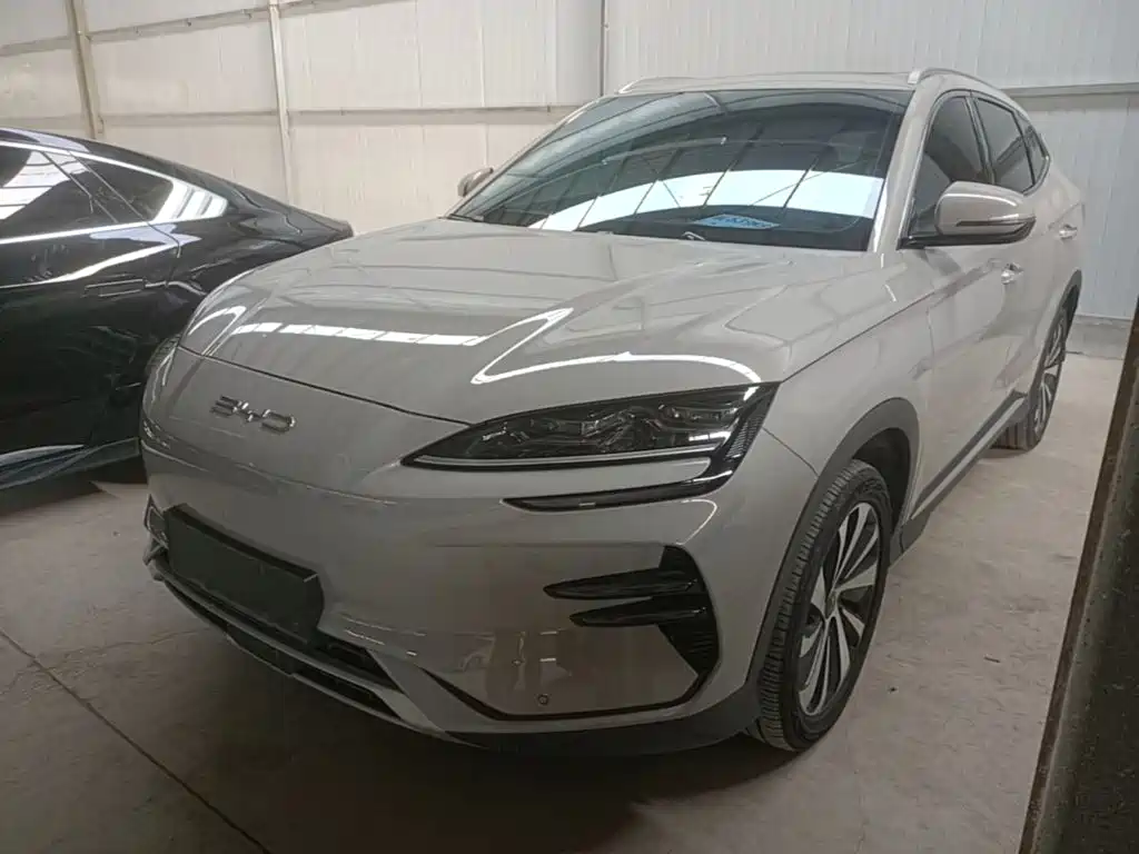 BYD PLUS New Energy 2024 — фото 1