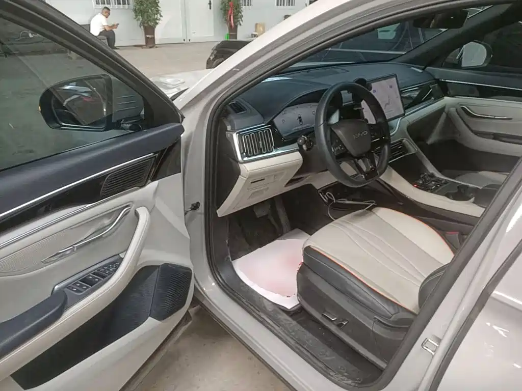 BYD PLUS New Energy 2024 — фото 16